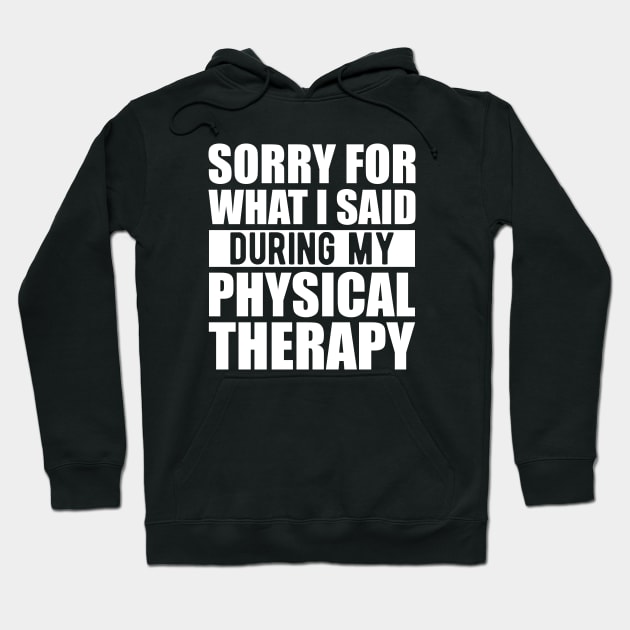 Physical Therapist - Sorry for what I said during my physical therapy w Hoodie by KC Happy Shop